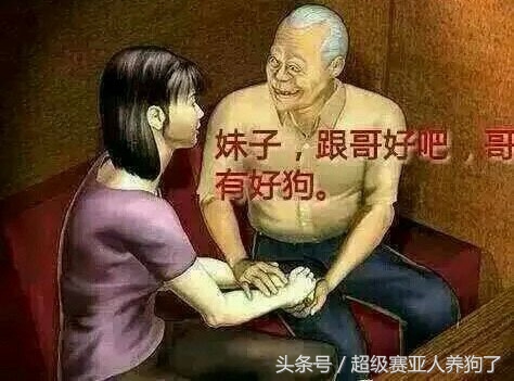 新手养德牧入门必备攻略,德牧的饲养和训练