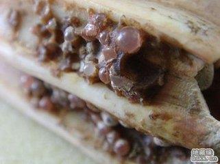 挖出2500年前的舍利盒,千年舍利从地下挖出神秘一幕曝光