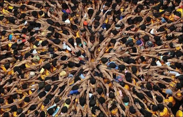 阜阳土地密集出让,阜城县土地成交