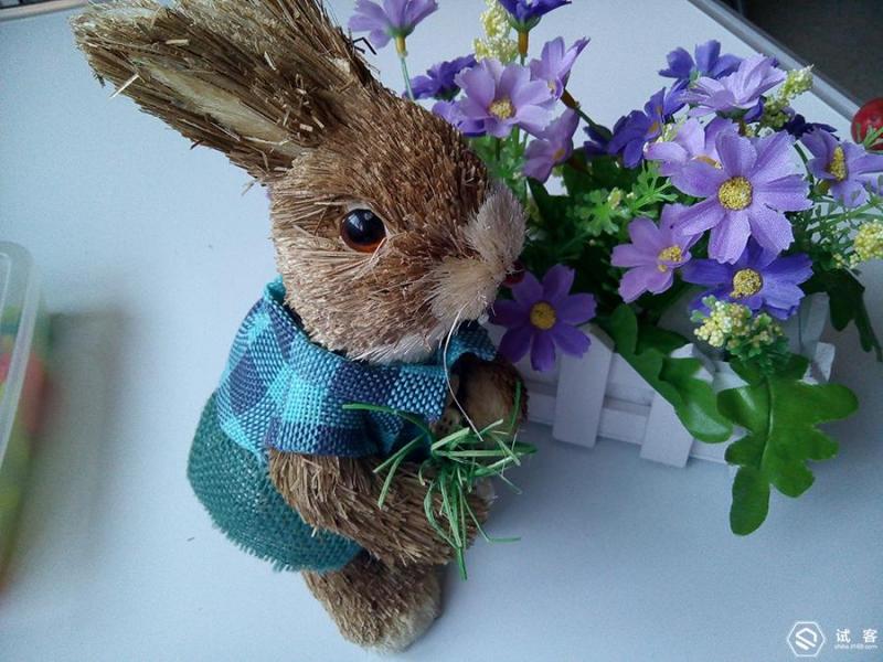 21克老年手机，老年机中的苹果手机