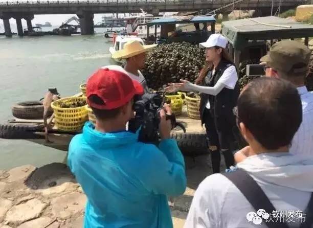 2021年钦州大蚝,钦州大蚝质量