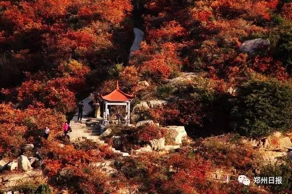 郑州旅游年卡是景点免费还是打折,郑州旅游景点景区年卡优惠攻略