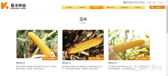 专家解答玉米品种,转基因玉米辟谣