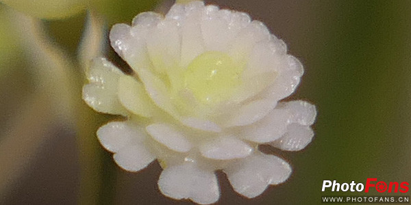 松下口袋相机lx10,松下lumixlx10长焦