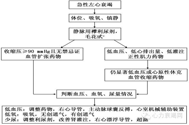 阜外张健心衰,心衰专家张健