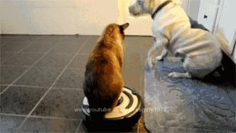 宁乡假冒食品案,宁乡公安72小时内破获盗窃案