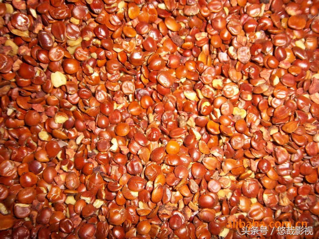 睡觉打呼噜有哪些特效药,睡觉打呼噜偏方大全