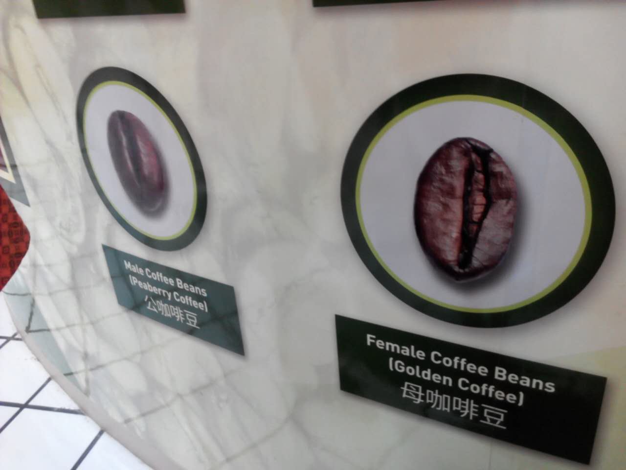 巴厘岛12月旅游,12月份巴厘岛旅游攻略