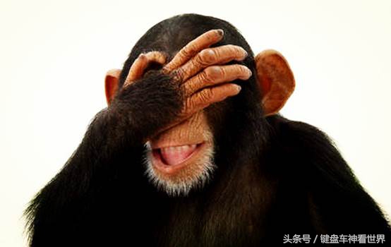 广汽本田歌诗图为什么会停产,广汽本田歌诗图深度解析