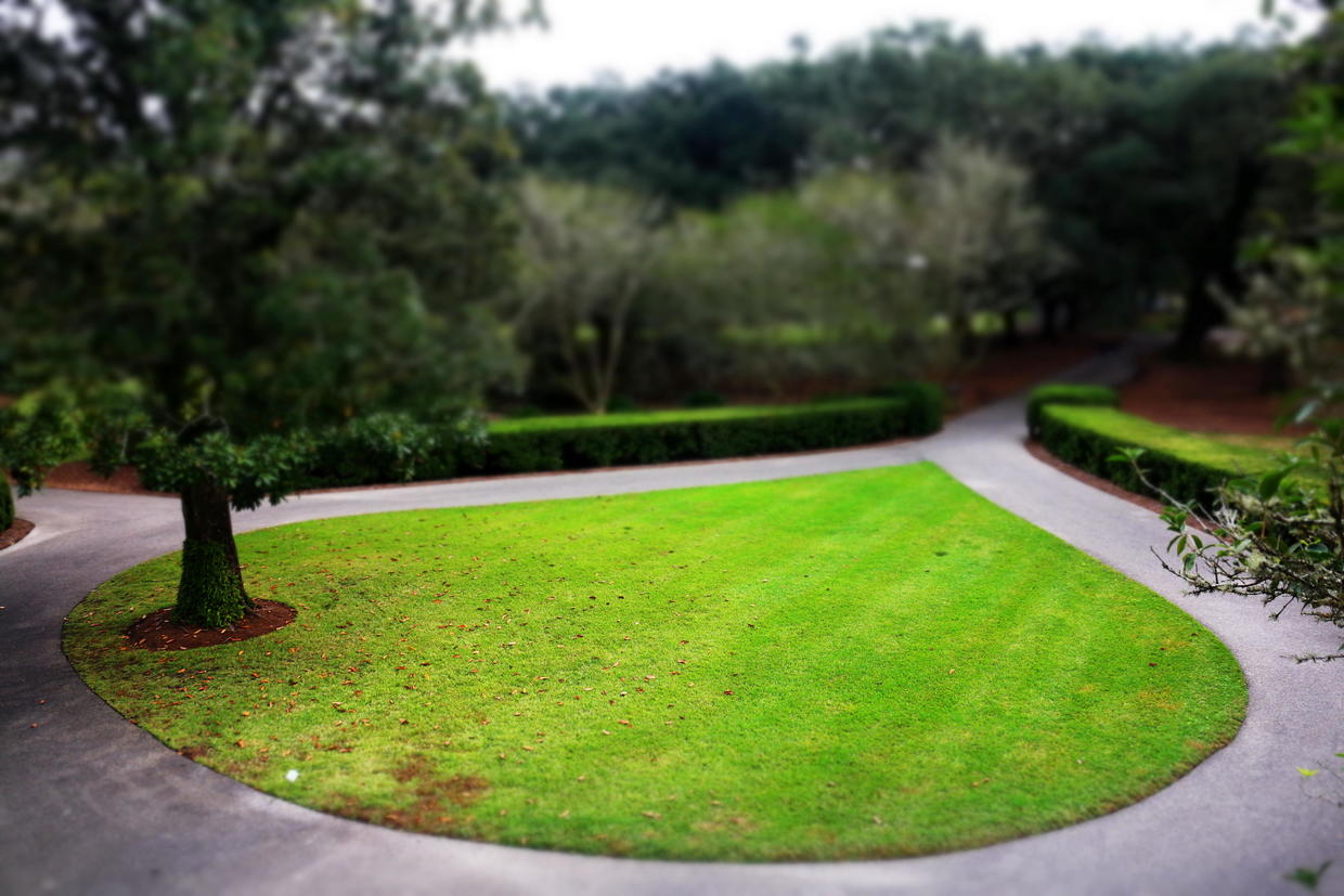 新奥尔良旅游景点攻略,新奥尔良旅游游记散文