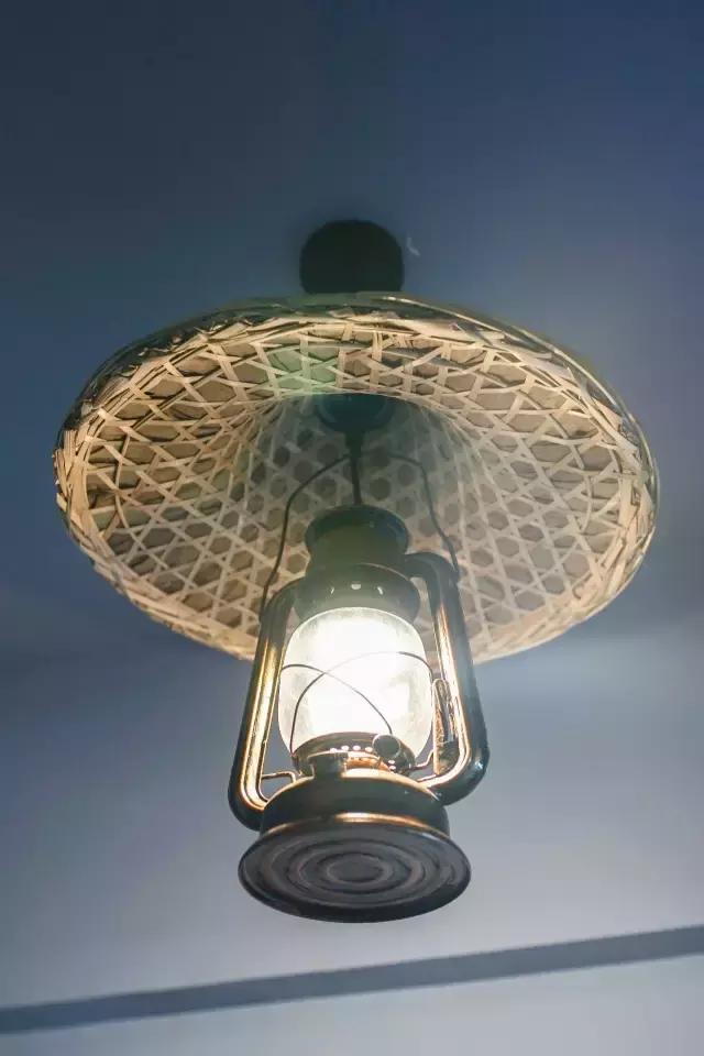 闇插彴澶氳倝鑺卞洯椁愬巺,澶氳倝妞嶇墿椁愬惂