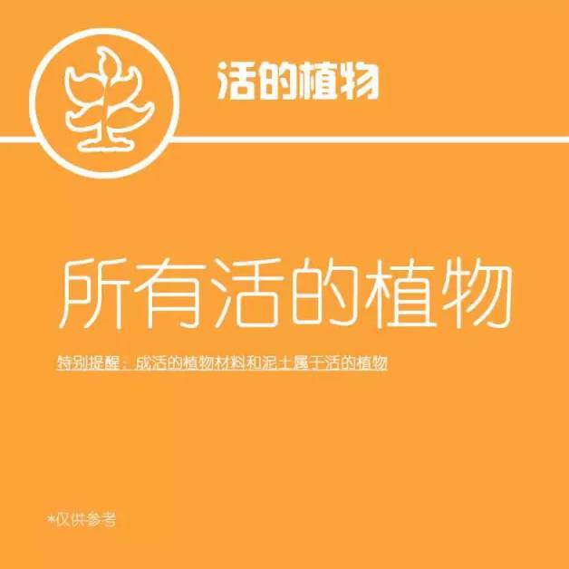 2022年澳洲留学入境,澳洲留学最新入境消息