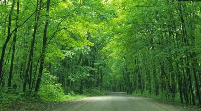 8月四川自驾游3日游最佳路线推荐,四川遂宁到贵州自驾游最佳路线