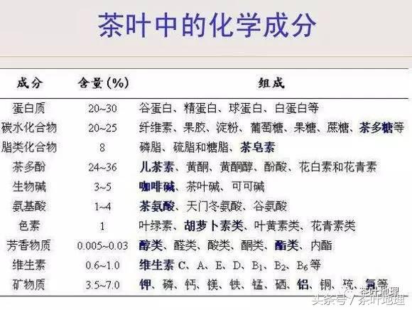 茶水服药会降低药效吗,为什么不能用茶喝药