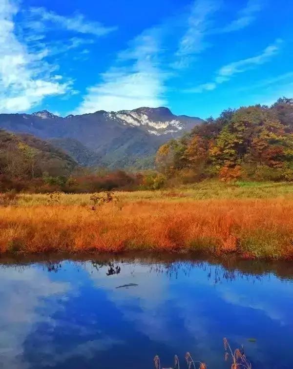 神农架自然保护区旅游攻略,神农架秘境演出值得看吗