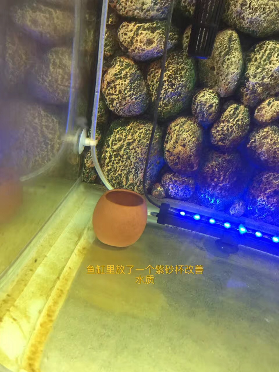 真的紫砂壶是不挂水的吗,真正的紫砂壶泡茶放几天都不会馊