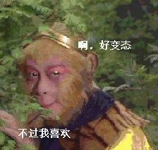 狗为什么吃屎,为什么狗吃屎