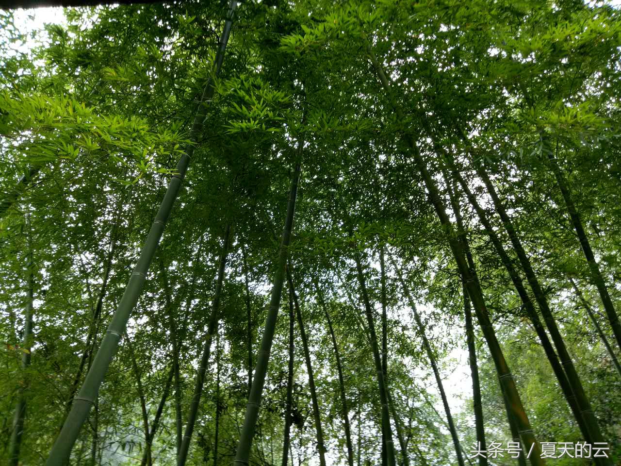 经验之谈生活感悟,高密度帆布池养鱼经验之谈