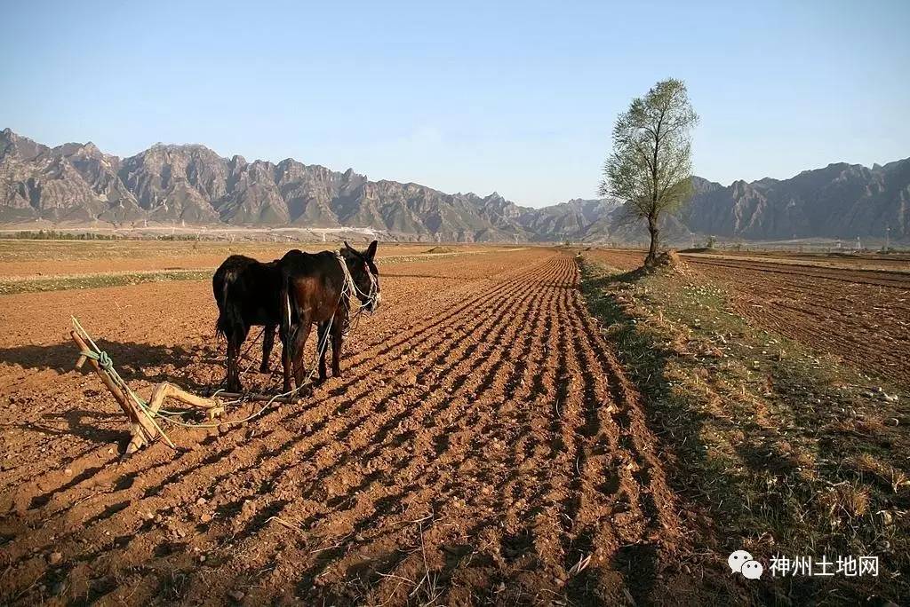 土地确权以后还重新分地吗,农田确权后还能重新分配吗