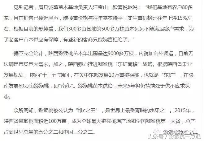 人工种植猕猴桃苗木价格,种植什么品种猕猴桃最有销路