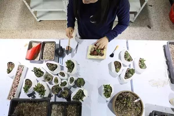 「新深漂」我们在租来的10㎡里，梦想装下整个世界