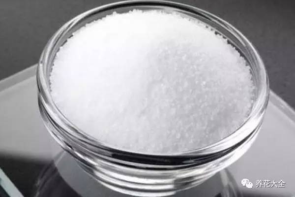 雪水、食盐、白糖、维生素，能让花枝繁叶茂，你信不信？