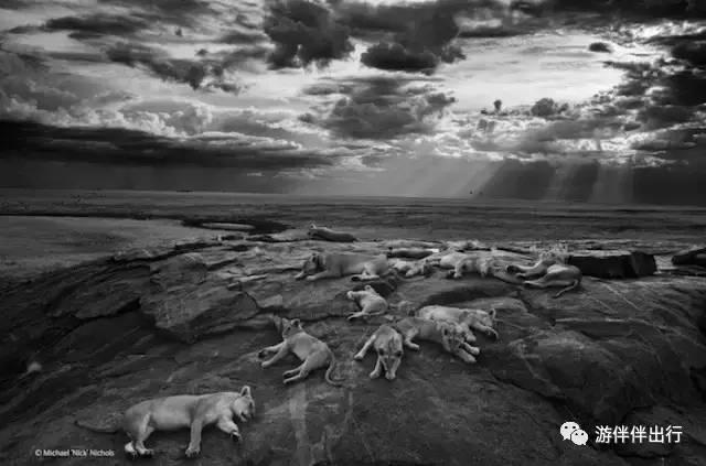 游伴伴|2016年最让人叹为观止的照片!