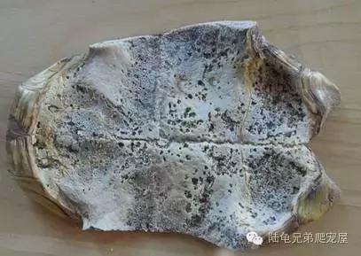 其实原因,其实所有的问题都源来于自身问题