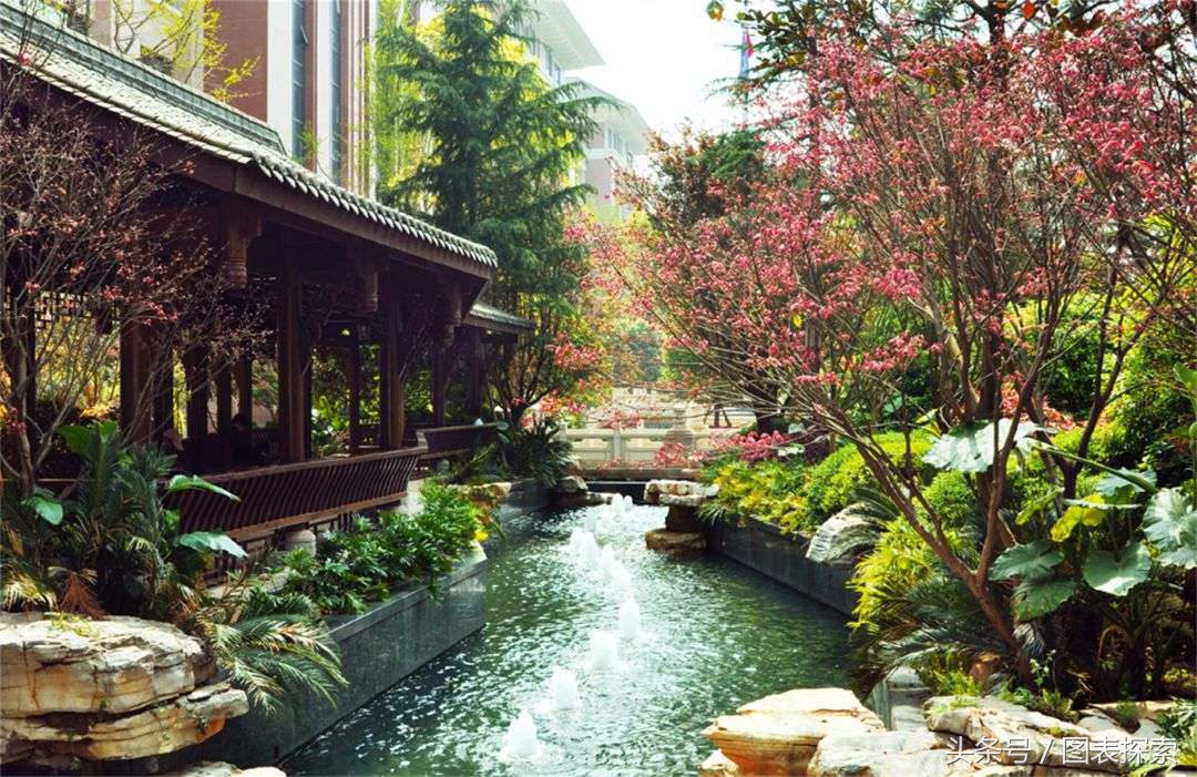 重庆房地产学院为什么叫土豪学校,重庆房地产学院的前世今生