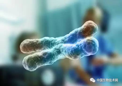 现在有哪些中药可以治疗癌症,癌症传统三大疗法