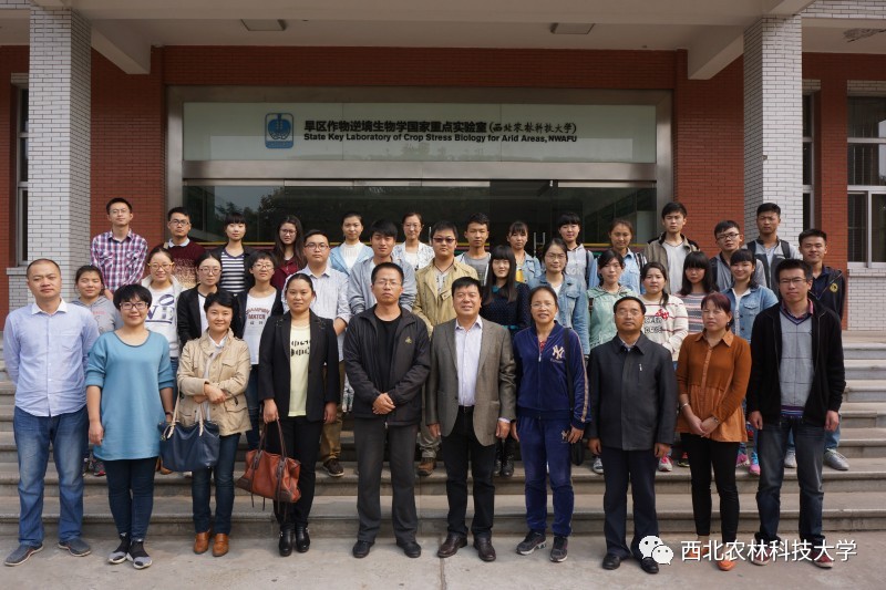 土豆烧牛肉最正宗做法视频,土豆烧牛肉为什么牛肉很硬