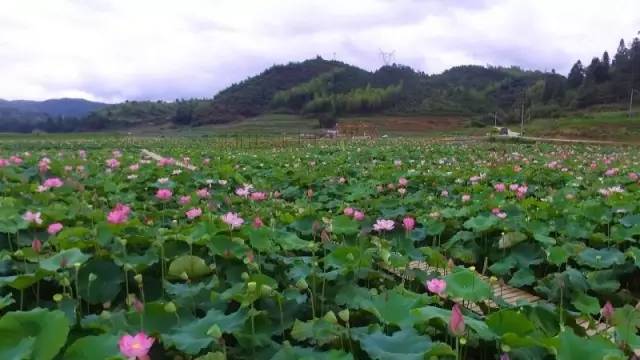 沙埕大白鹭村,福建沙埕镇小白鹭村沙滩