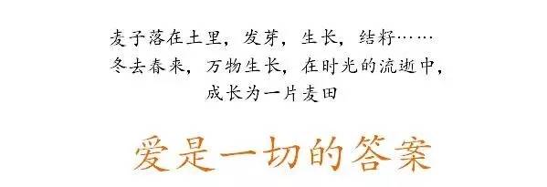 单人单车去西藏需要准备什么,单车自驾旅行需要什么装备