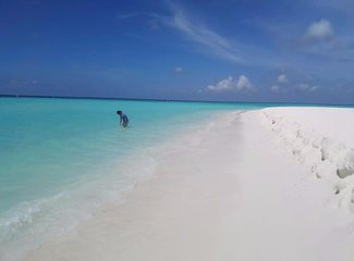 马尔代夫旅行回忆,马尔代夫经济型岛屿