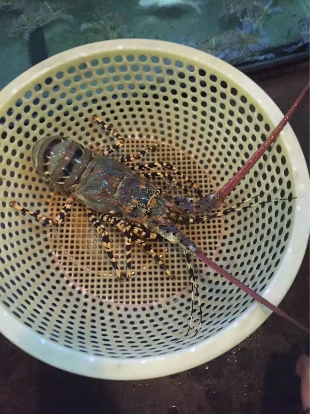 越南芽庄美丽的夜晚,越南芽庄的海上真美