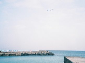 济州岛游记记录,济州岛的春天旅行日记