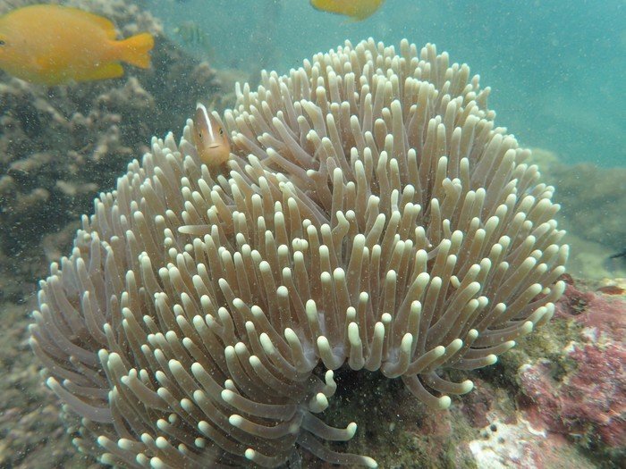 巴厘岛6天5晚跟团游昆明出发,巴厘岛6天5晚跟团游沈阳出发