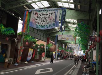 新世纪号邮轮旅游攻略,家庭游轮出游