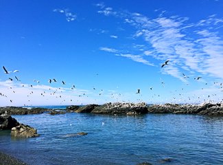 新西兰南岛自驾游景色,新西兰南岛跳伞攻略
