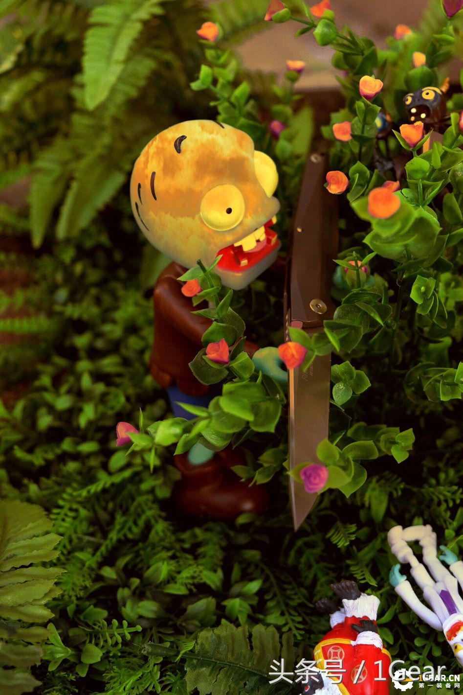 给你来点不一样的最佳战术*刀折**奖得主测评