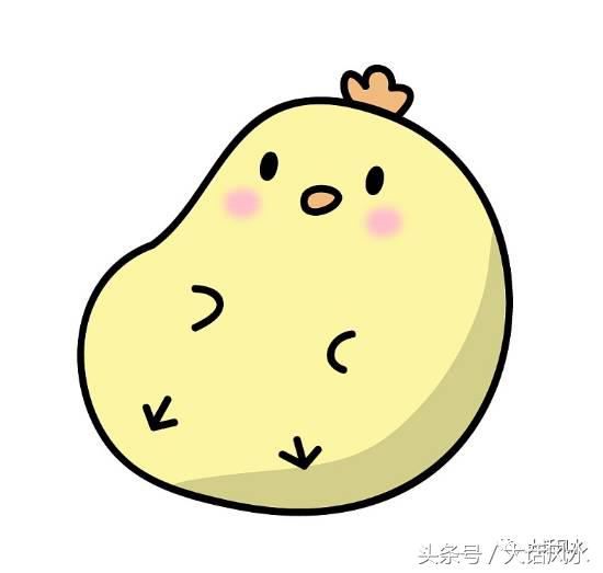 12月28日十二生肖运势详解,12月28日生肖运势播报