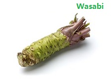 apple苹果的英语是什么,苹果的英语为什么是anapple