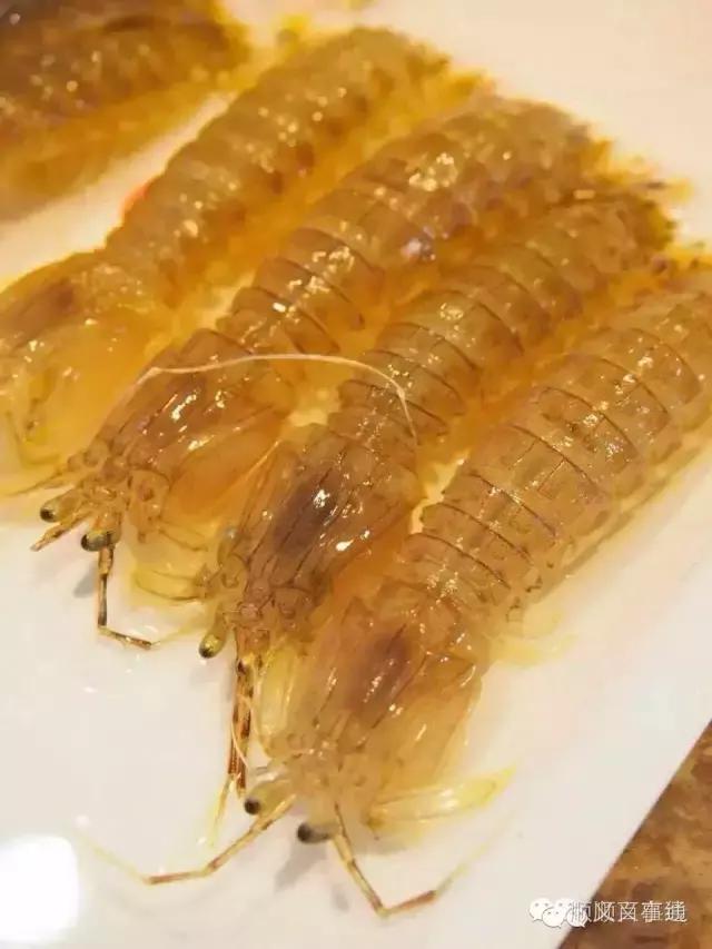 彤顺德海鲜火锅2017会员更多新福利！