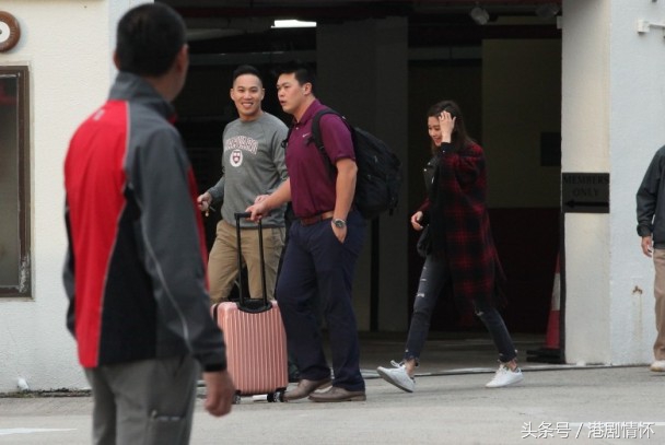 tvb女星岑丽香,tvb岑丽香新剧