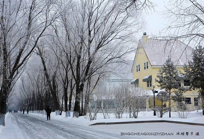 哈尔滨太阳岛的冬天照片,哈尔滨太阳岛的冬天有多美