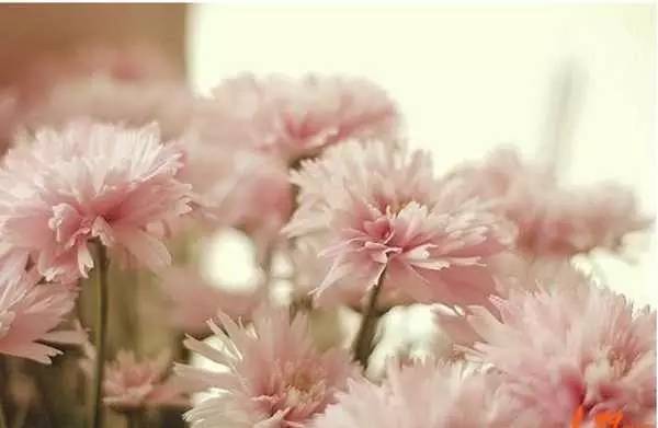 早安语录正能量微商界短句,微商朋友圈早安心语正能量图片