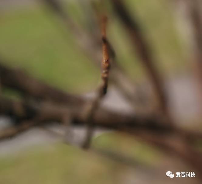 vivox9浣撻獙璇勬祴,vivox70璇勬祴