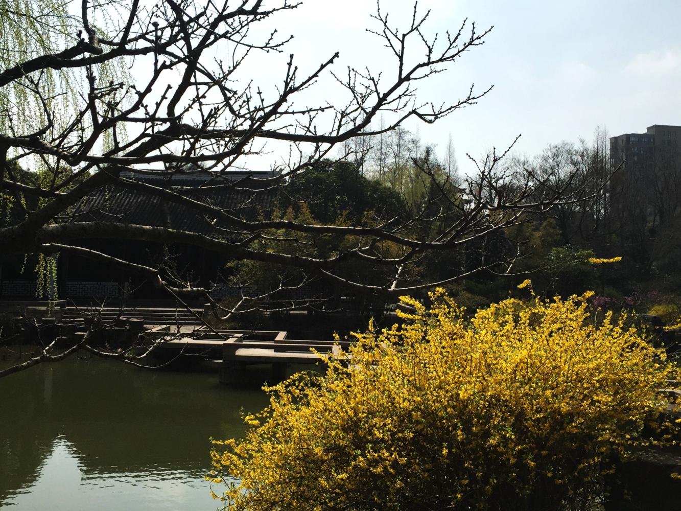 澶粨鍗楀洯鍘嗗彶鑳屾櫙,鍥捐澶粨鍘嗗彶