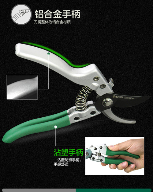 鍥灄鍓灊鍓垁,鍥灄缁垮寲鍓垁