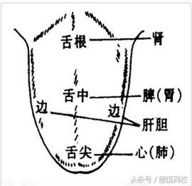 中医舌诊图谱100例,靠谱中医史上最全高清舌诊图谱